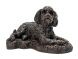 Cockapoo urne pour chien