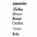 Lettertypes
