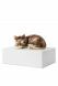 Urne-animal 'Chat'