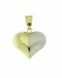 Pendentif mémoire en 14 carat or bicolore 'Cœur'