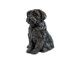Shih Tzu urne pour chien