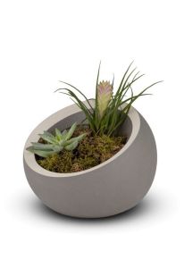 Urne funéraire en porcelaine « Terra » - gris foncé avec accent blanc