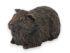 Cochon d'Inde urne