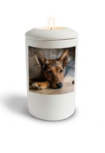 Urne funéraire blanche satinée pour chien avec image, personnalisable