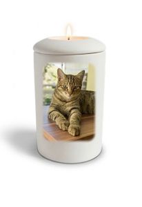 Urne funéraire blanche satinée pour chat avec image, personnalisable