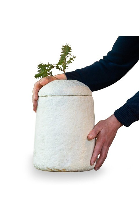 URNES FUNÉRAIRES.